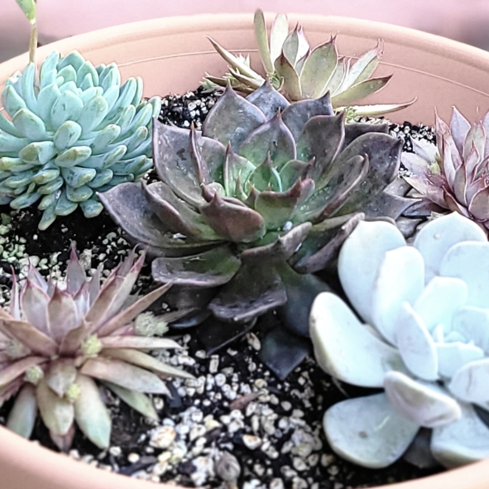 Like it? Love it?! Bundle it!!